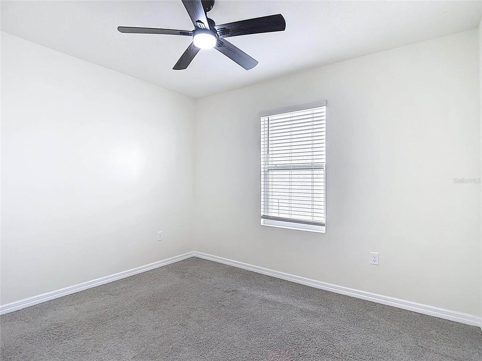 Image 34 of 63 For 2682 Common Fig Run