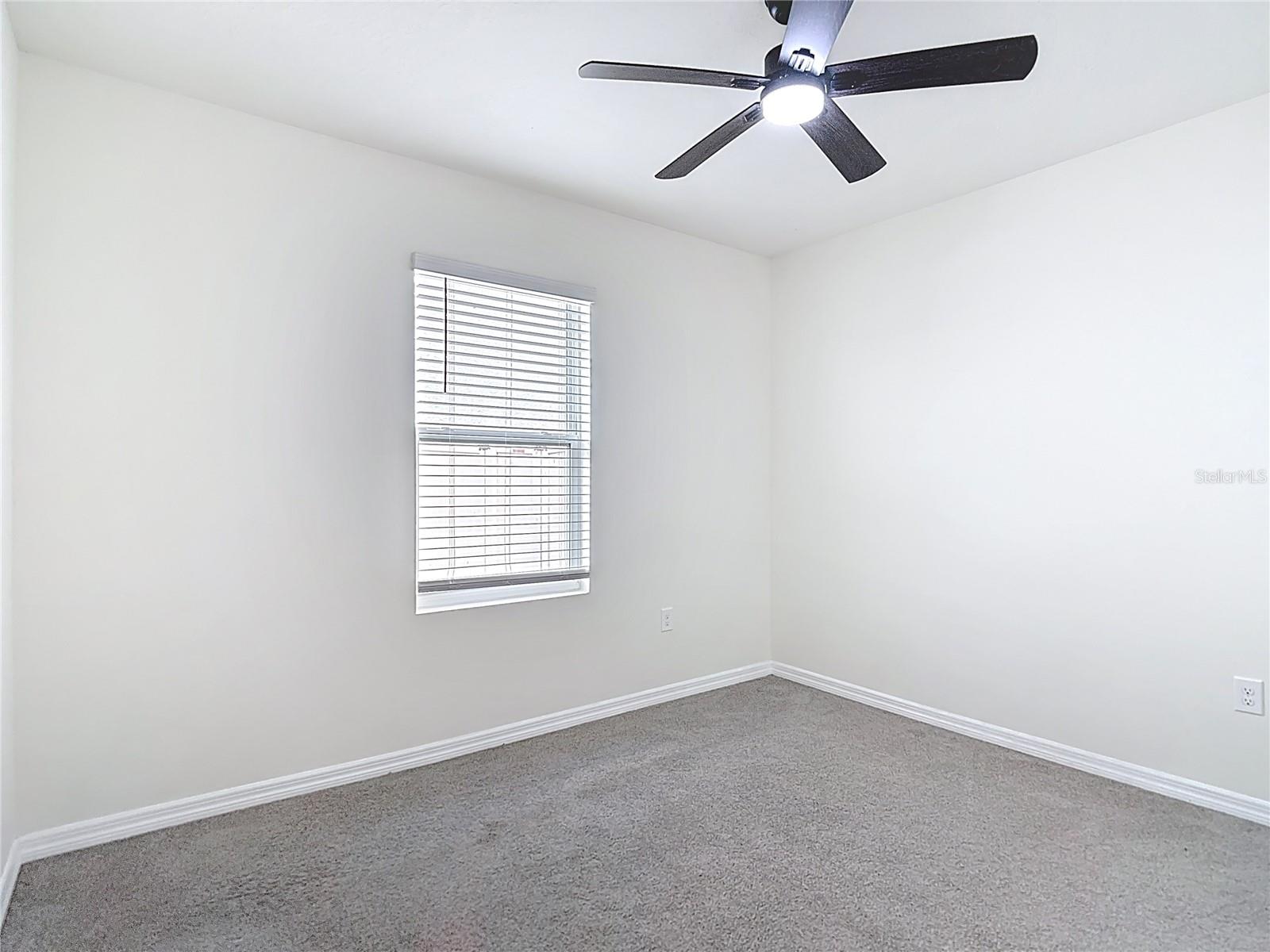 Image 35 of 63 For 2682 Common Fig Run