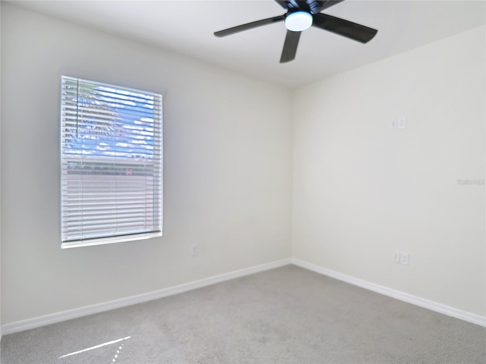 Image 41 of 63 For 2682 Common Fig Run