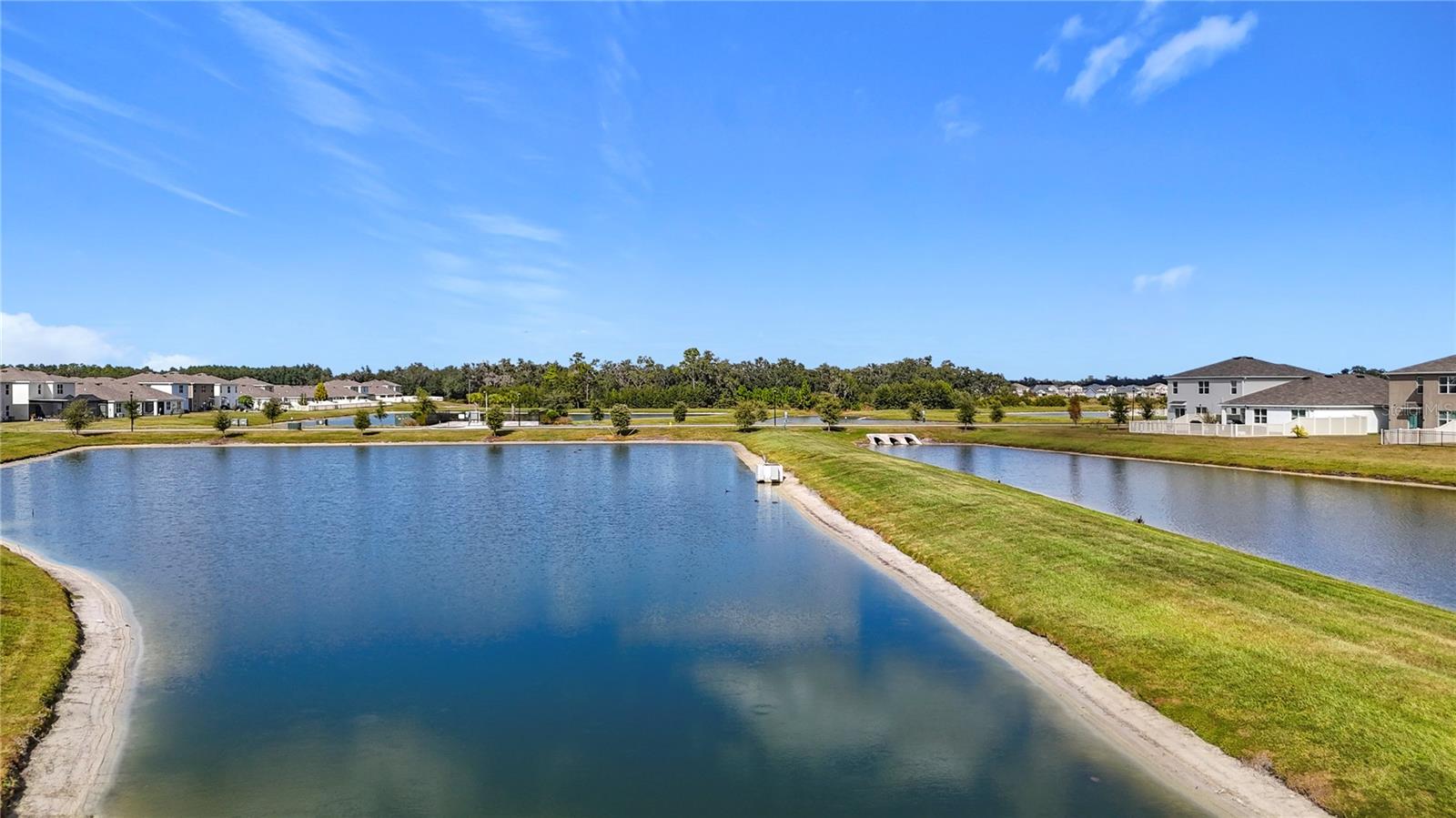 Image 57 of 63 For 2682 Common Fig Run