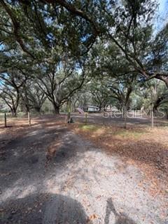 Image 17 of 17 For 1906 Trapnell Road