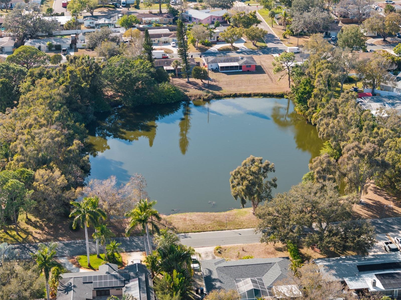 Image 33 of 34 For 6800 16th Street N