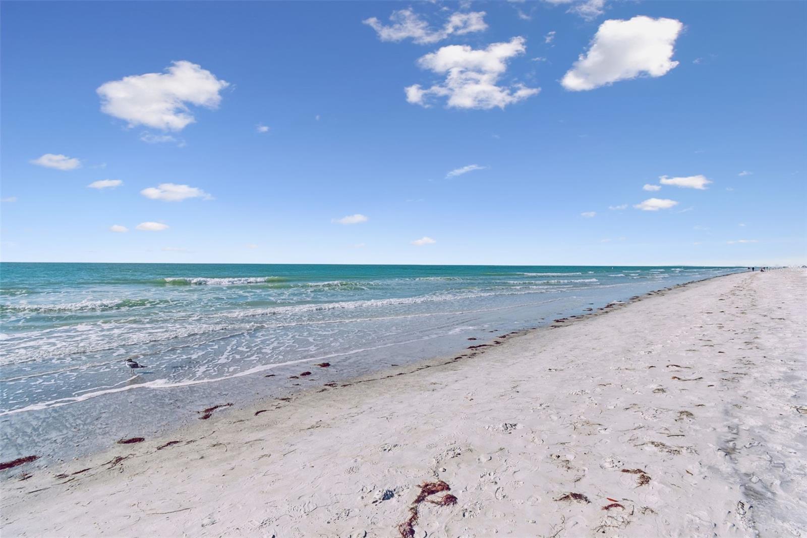 Image 14 of 17 For 30 Gulf Boulevard