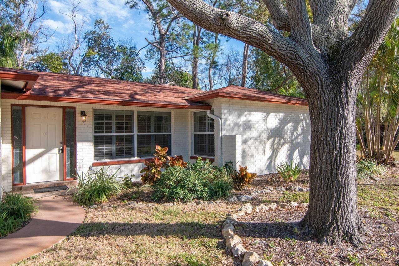 Listing photo id 46 for 236 North Street