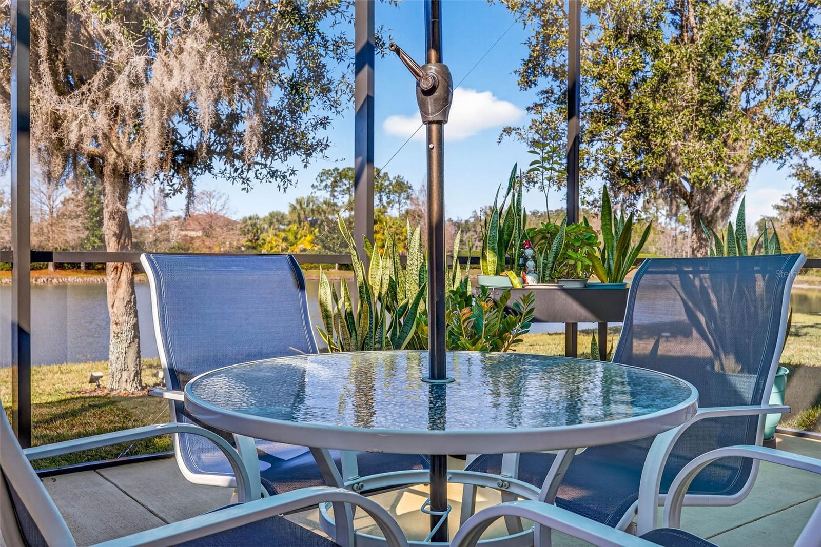 Listing photo id 44 for 7035 Peregrina Loop