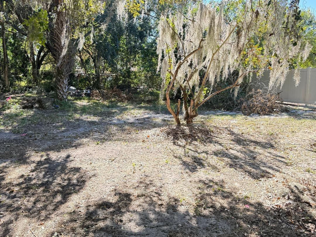 Image 4 of 10 For 323 Dorsett Avenue