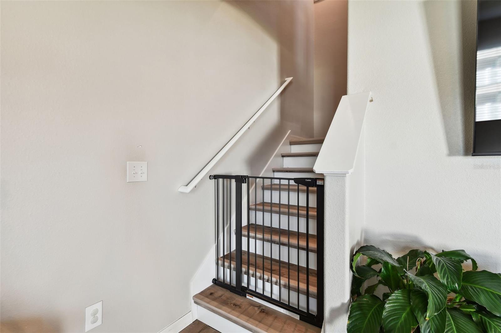 Listing photo id 37 for 3172 Lytton Hall Drive