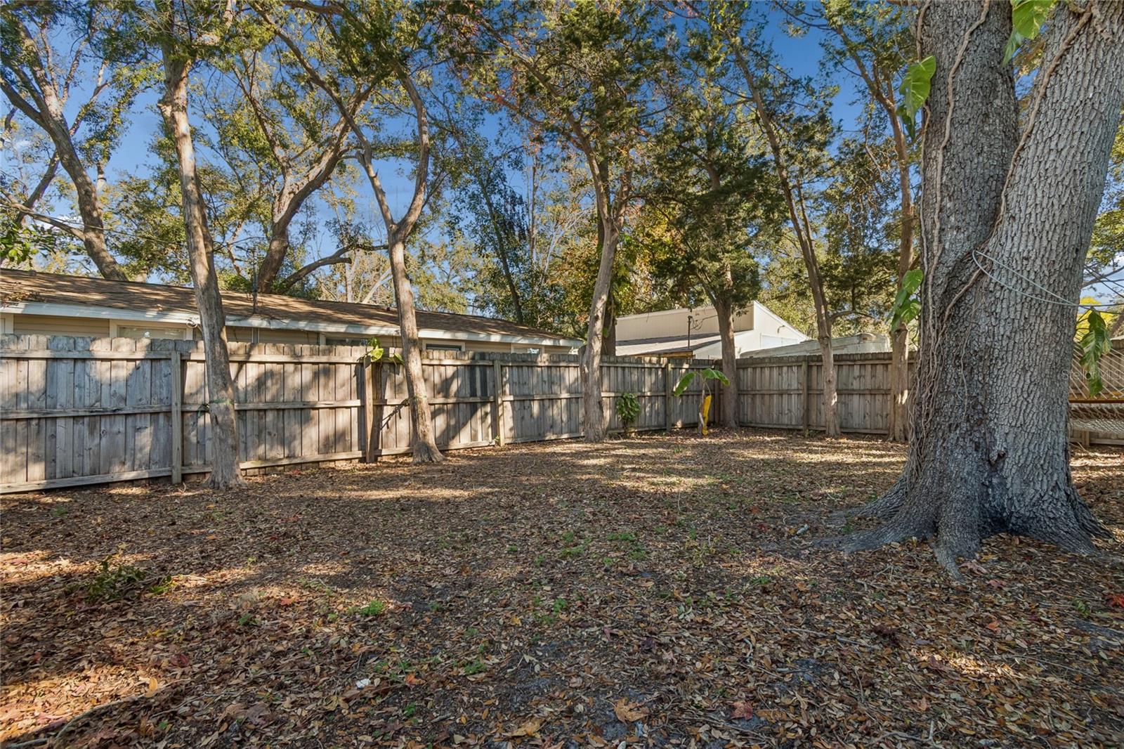 Image 48 of 62 For 902 Beltrees Street