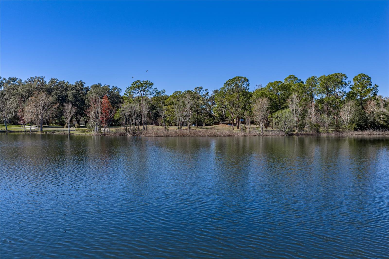 Image 57 of 63 For 11045 Fort King Road