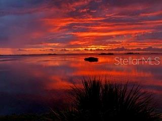 Image 5 of 55 For 2700 Bayshore Boulevard 11305