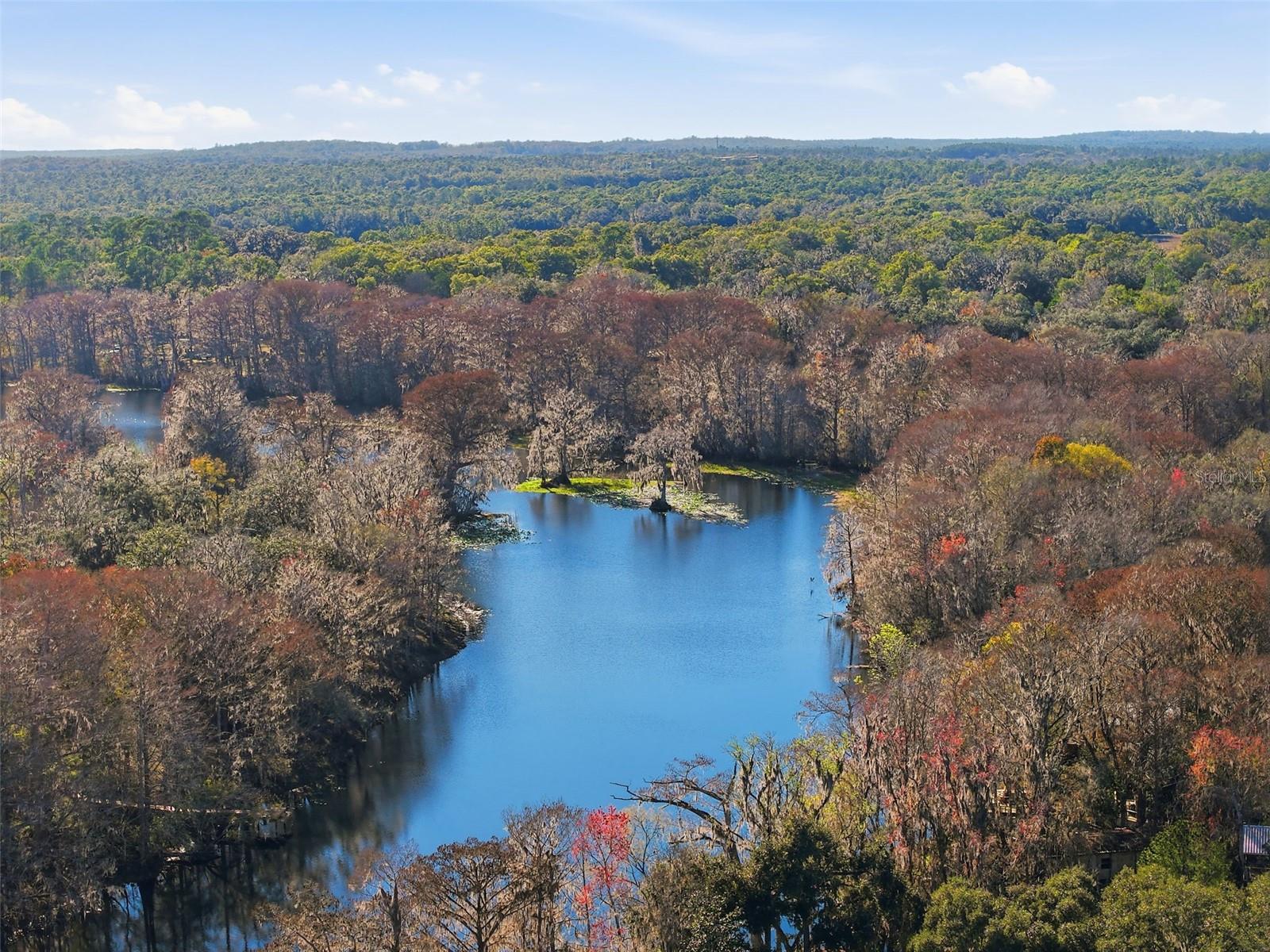 Image 32 of 38 For 16330 Daviston Lane