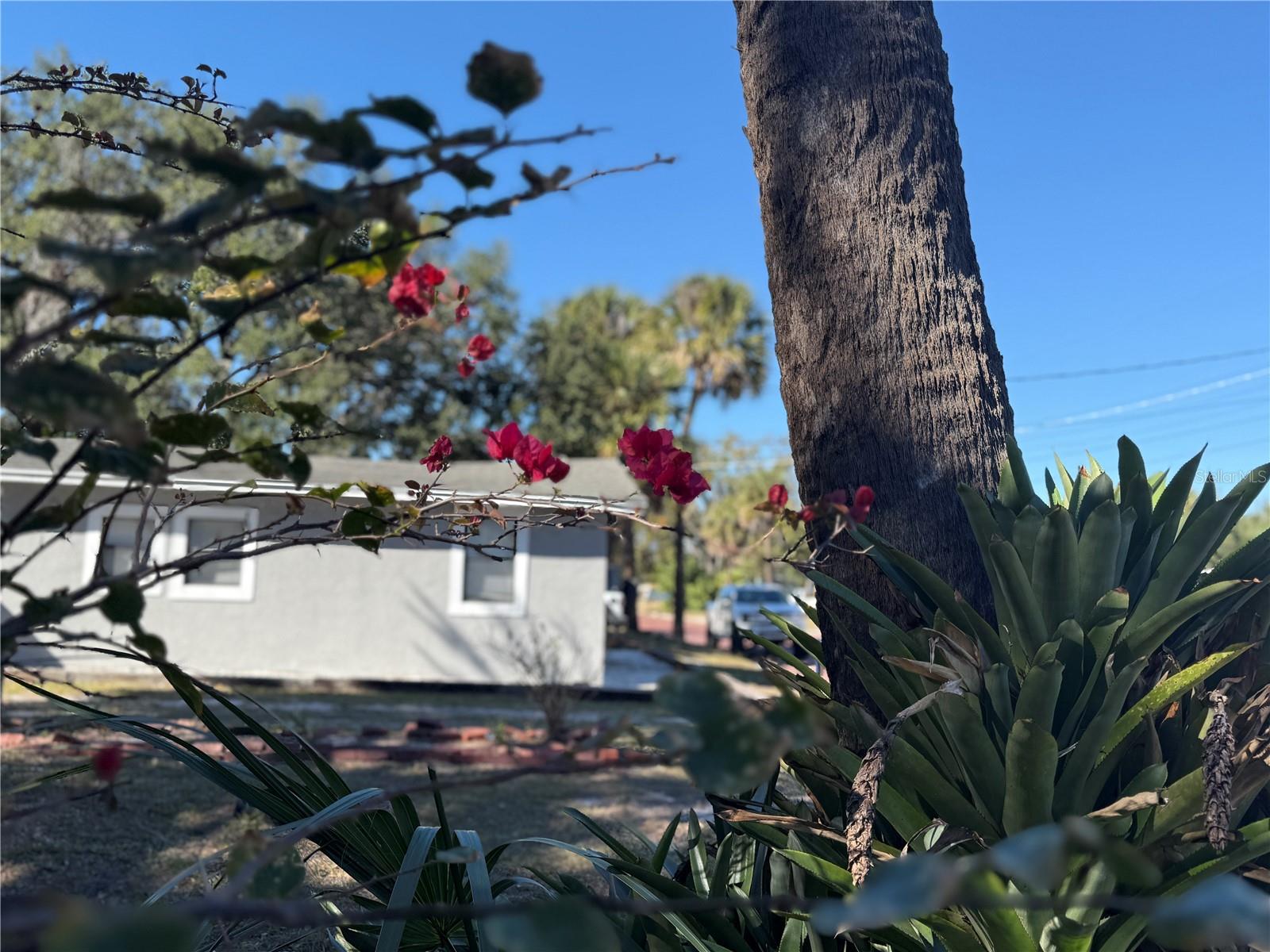 Image 10 of 15 For 1008 Grace Street