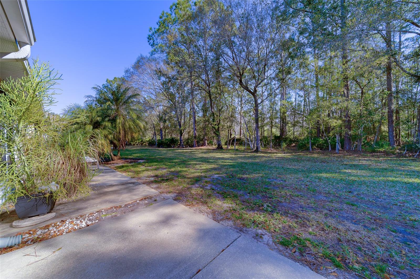 Image 41 of 51 For 4405 Connery Court