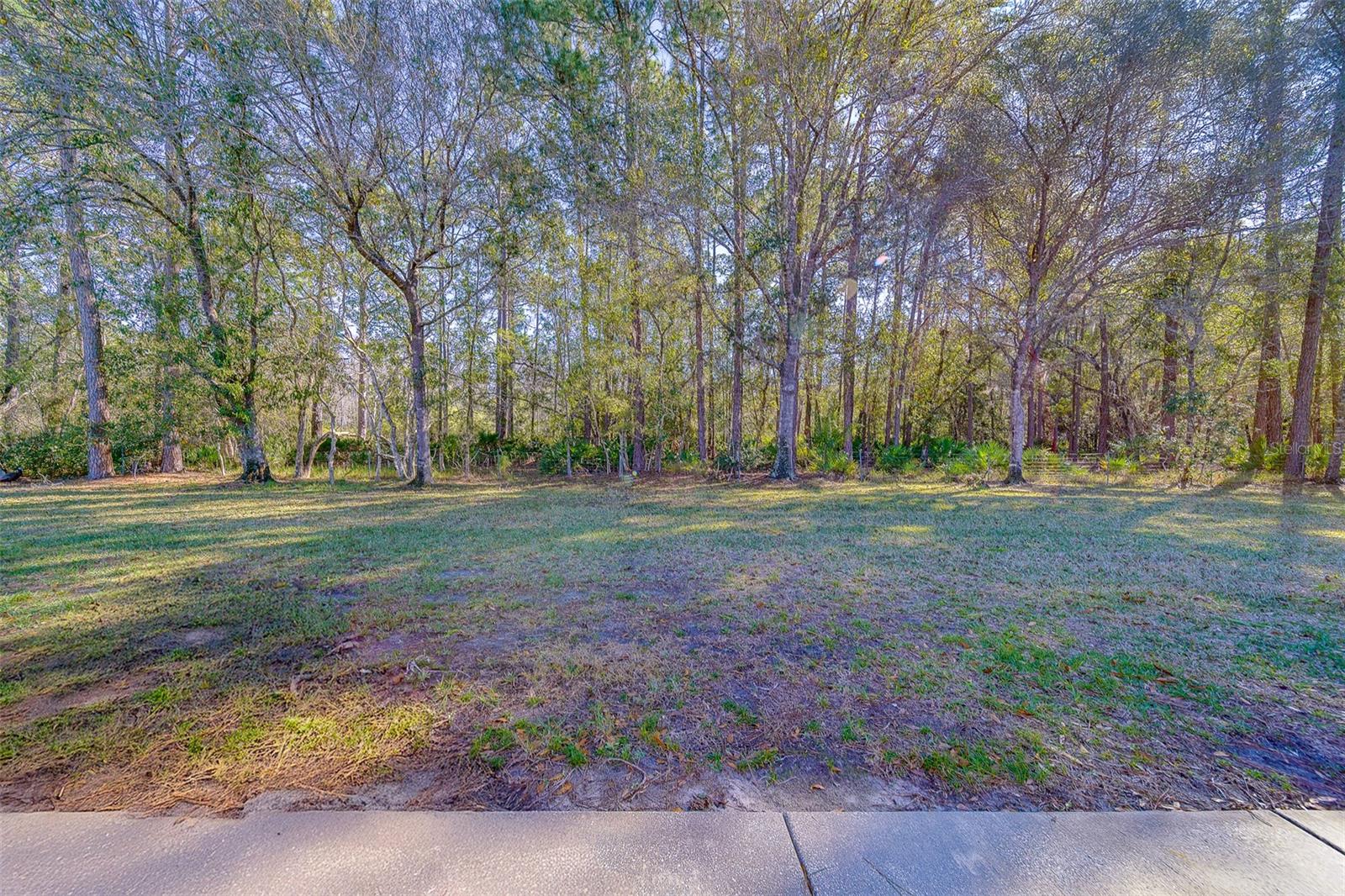 Image 42 of 51 For 4405 Connery Court