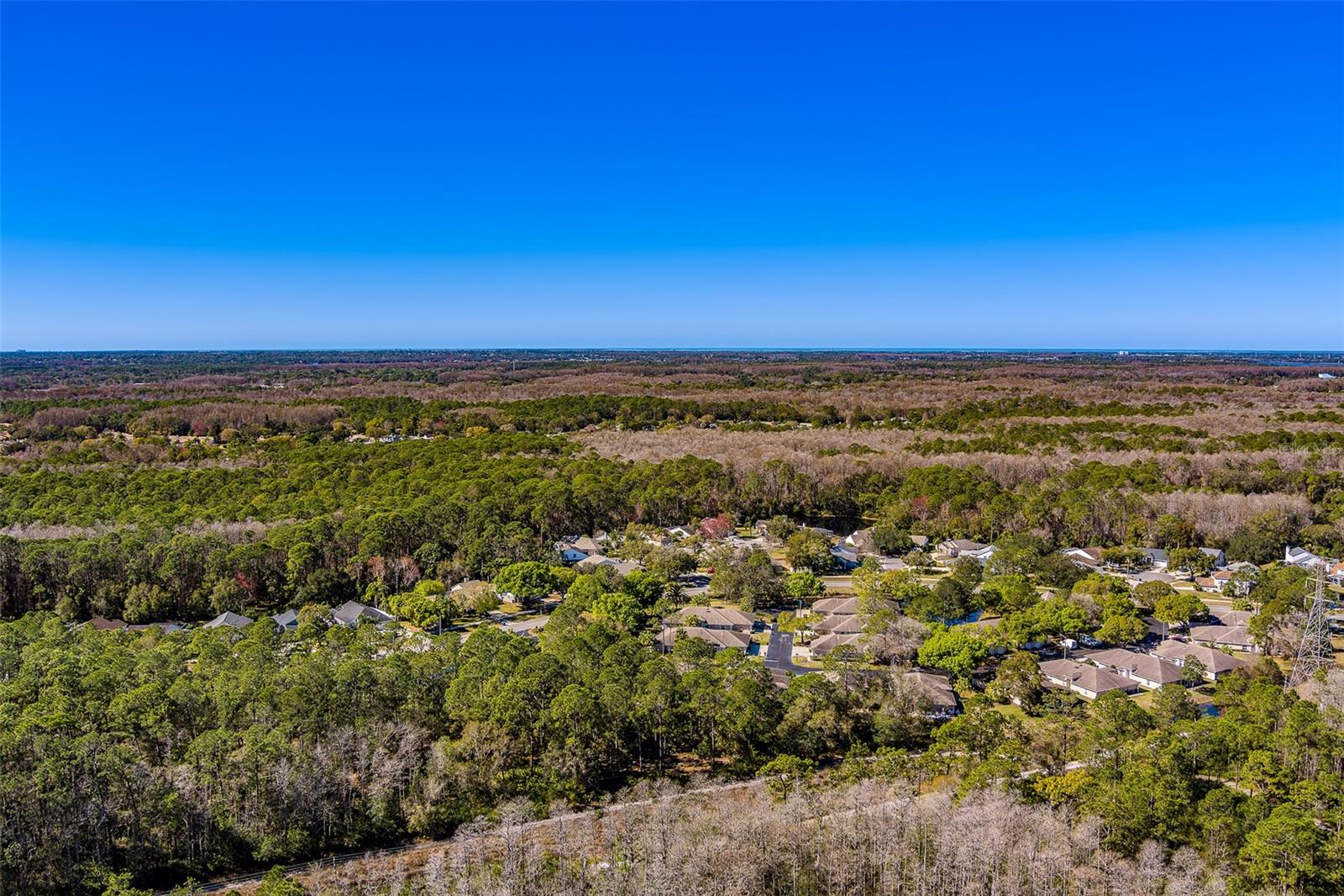 Image 49 of 51 For 4405 Connery Court