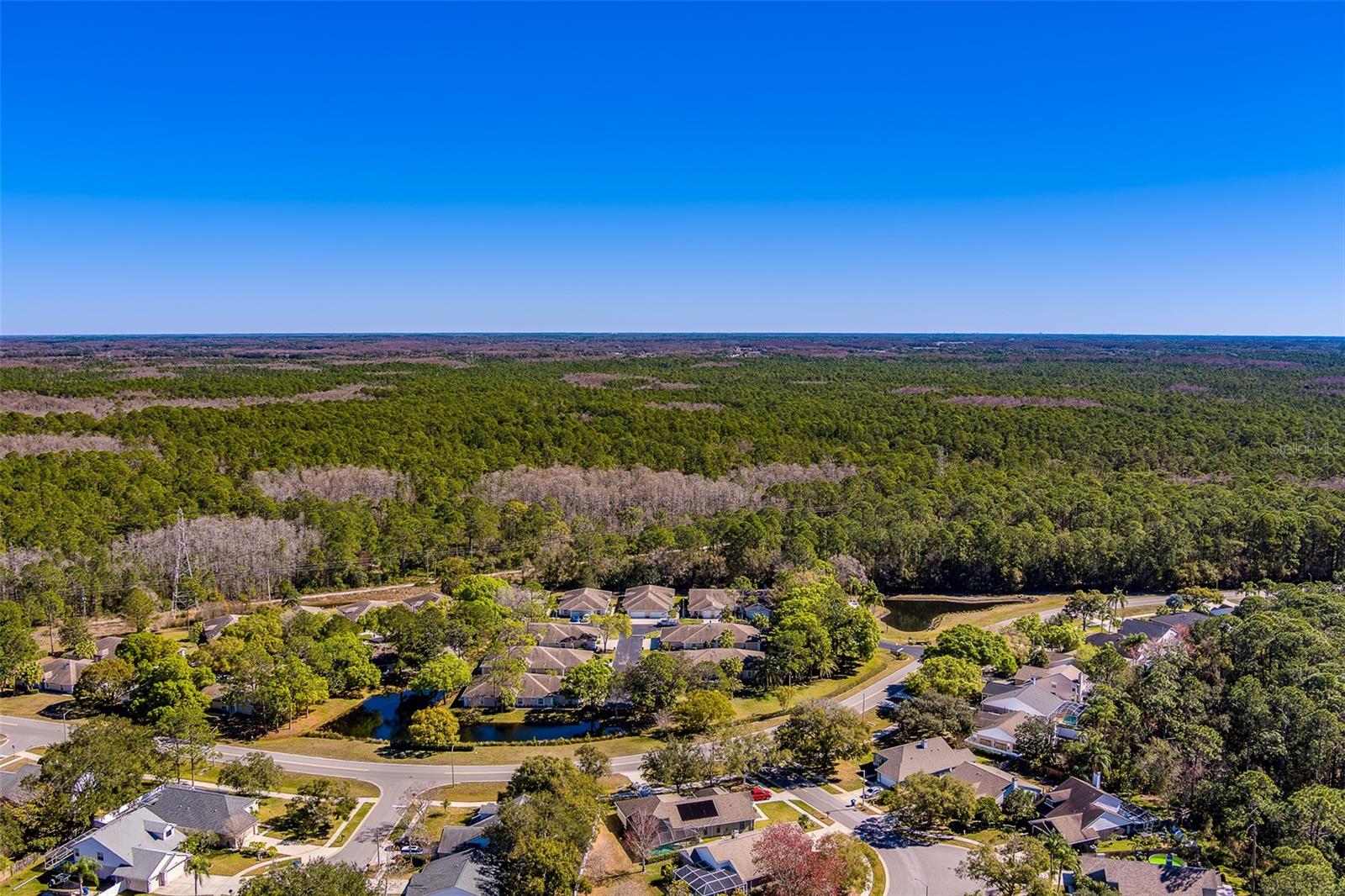 Image 50 of 51 For 4405 Connery Court