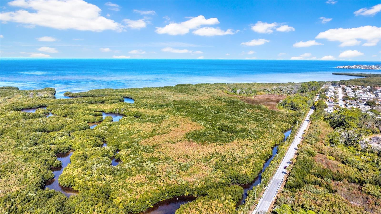 Image 57 of 67 For 3147 Mela Court