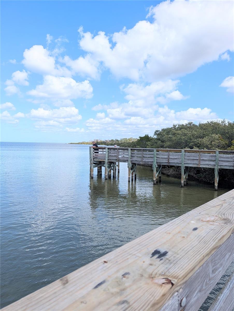 Image 62 of 67 For 3147 Mela Court