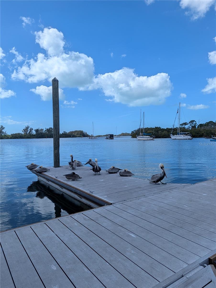 Image 65 of 67 For 3147 Mela Court