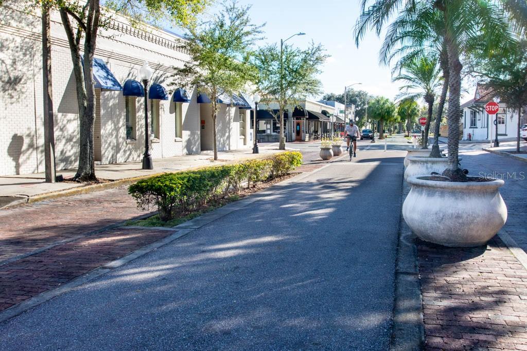 Image 54 of 59 For 1703 Blue Lake Court