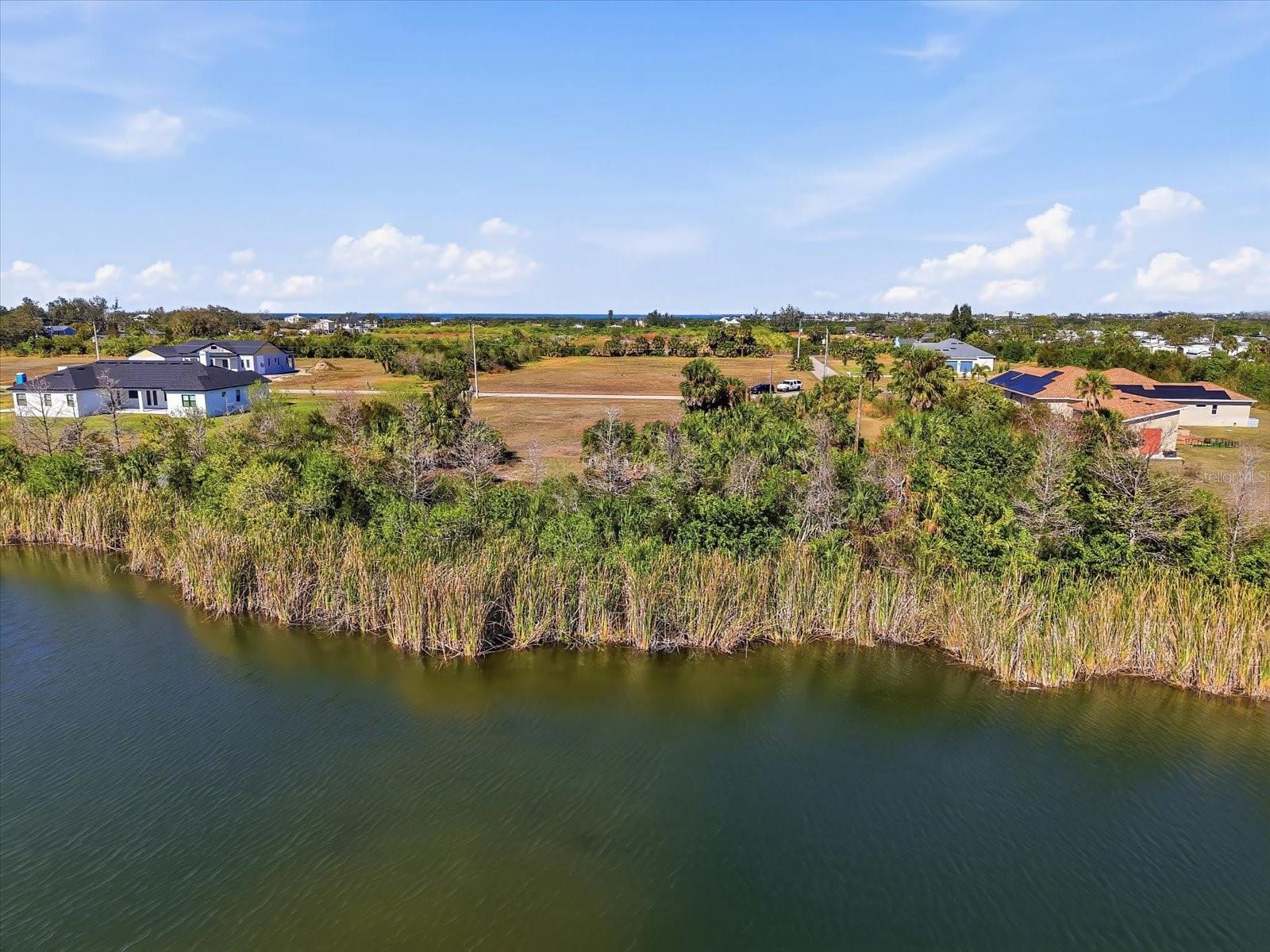 Image 13 of 22 For Smilodon Trail