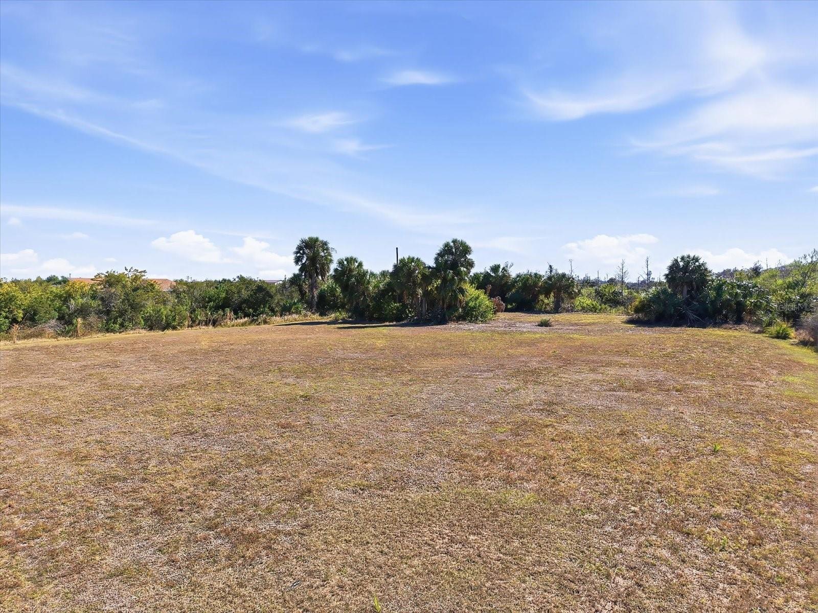 Image 6 of 22 For Smilodon Trail