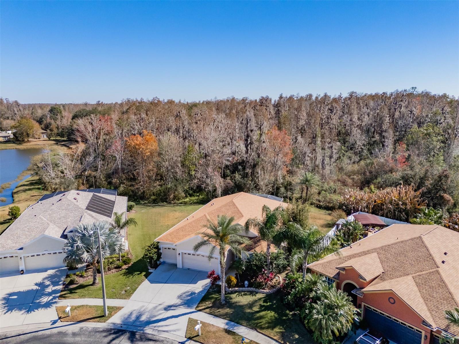 Image 38 of 43 For 31230 Alchester Drive