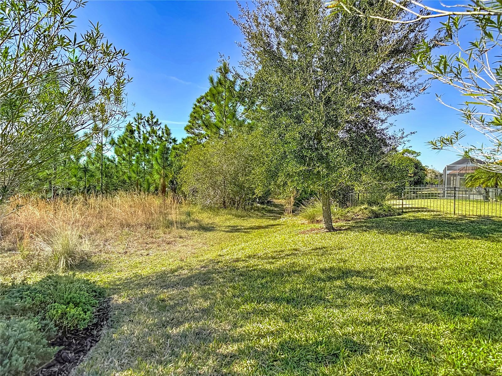 Image 5 of 58 For 8613 Grand Alberato Road