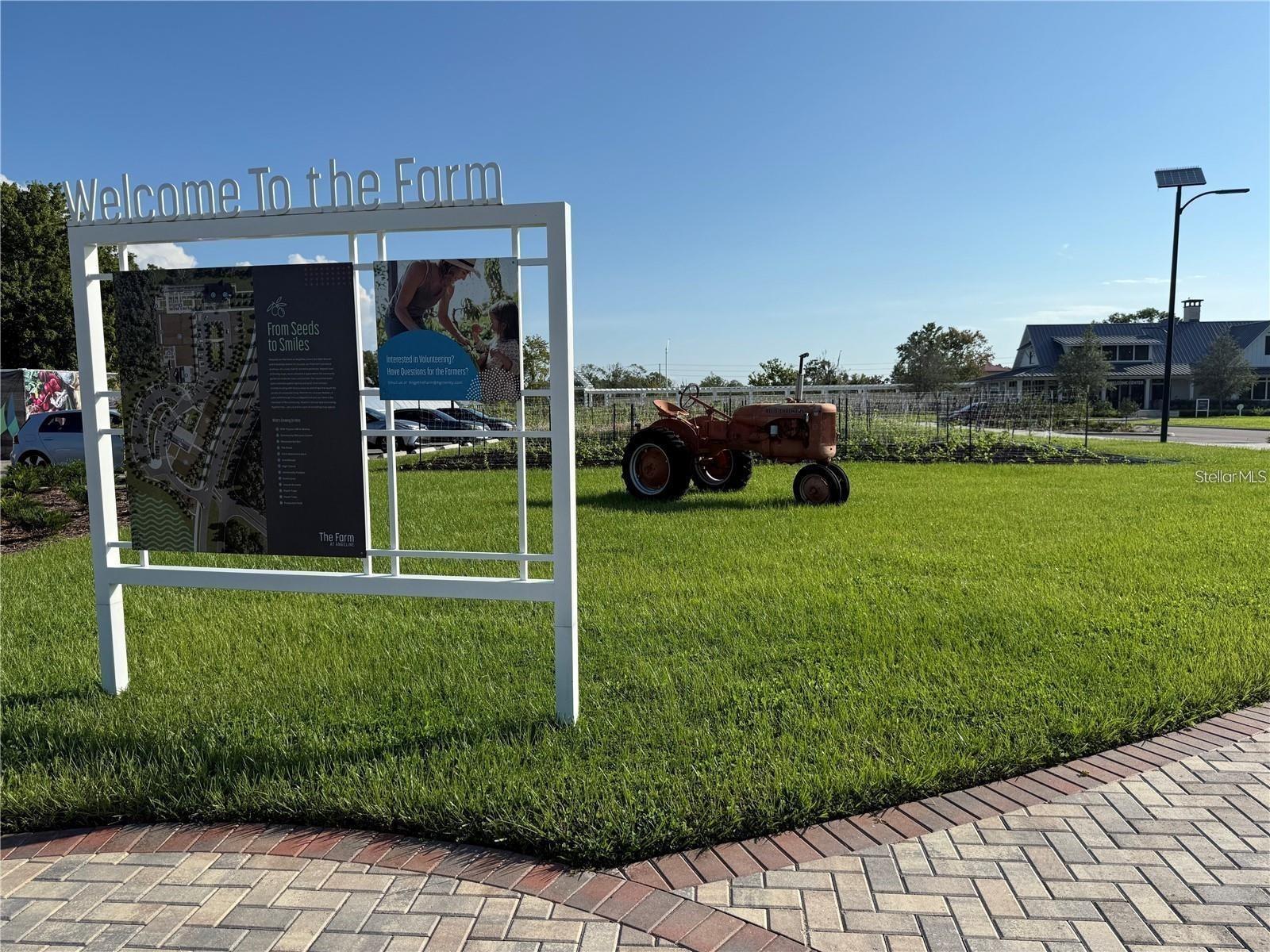 Image 34 of 36 For 11374 Velvet Apricot Drive