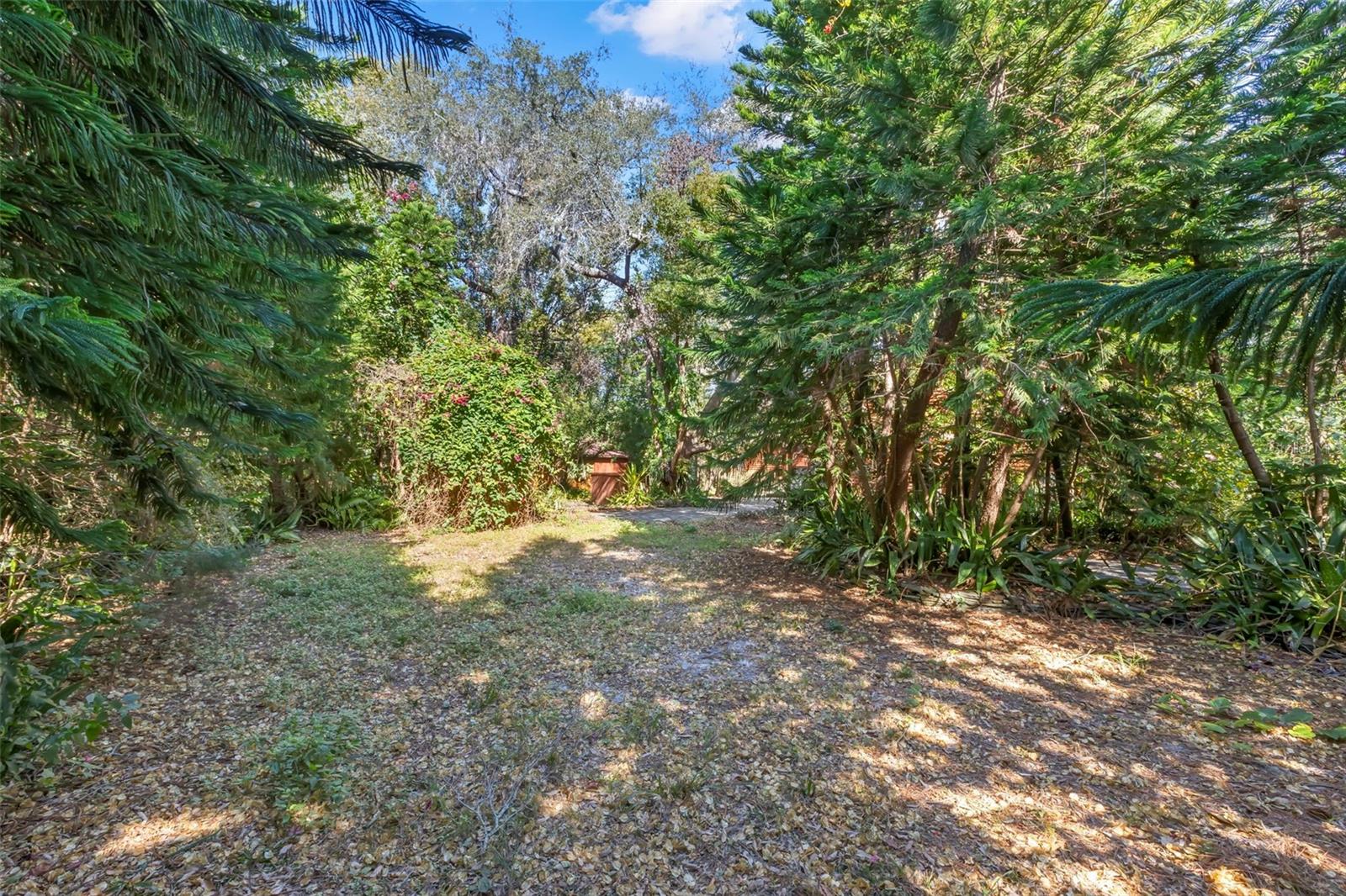 Image 57 of 66 For 809 Cardinal Avenue