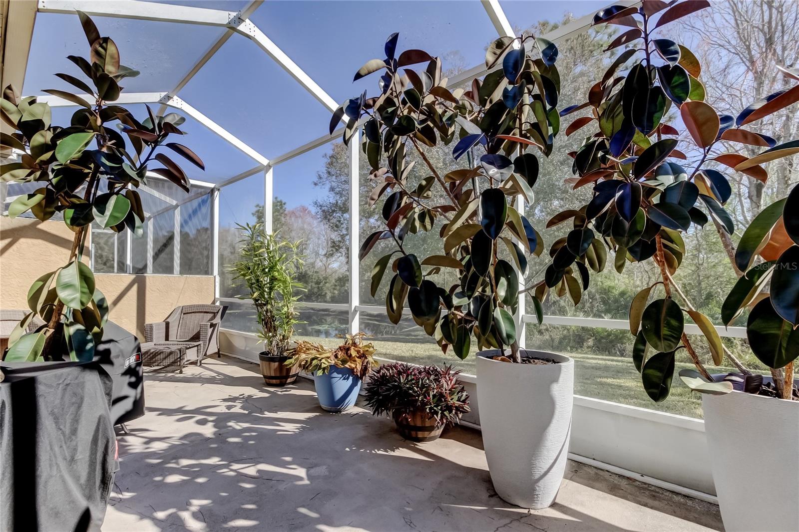 Image 46 of 65 For 19131 Lake Audubon Drive