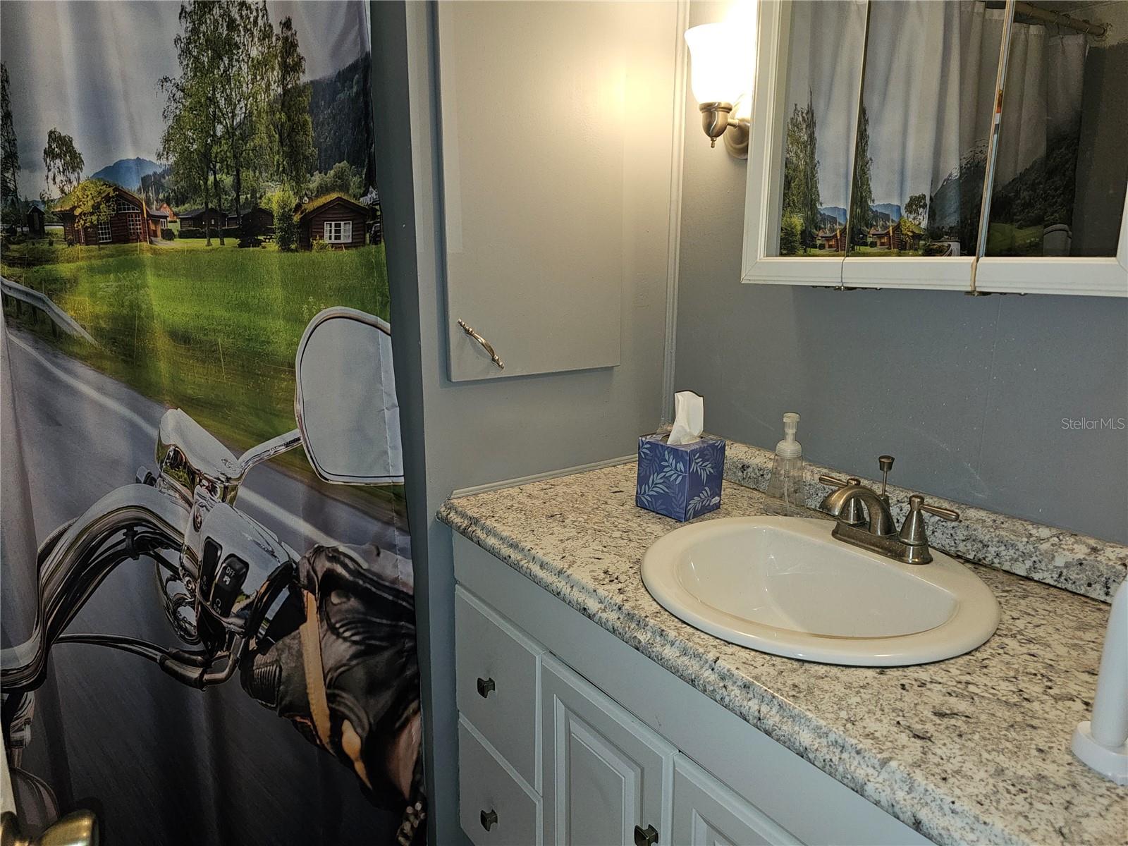 Listing photo id 21 for 18675 Us Highway 19 N 454