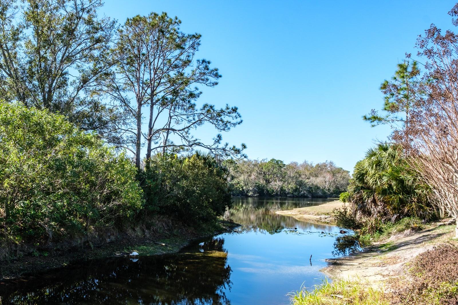 Image 66 of 74 For 501 Lakeview Drive