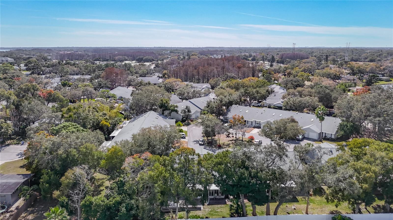 Image 59 of 88 For 39650 Us Highway 19 N 834