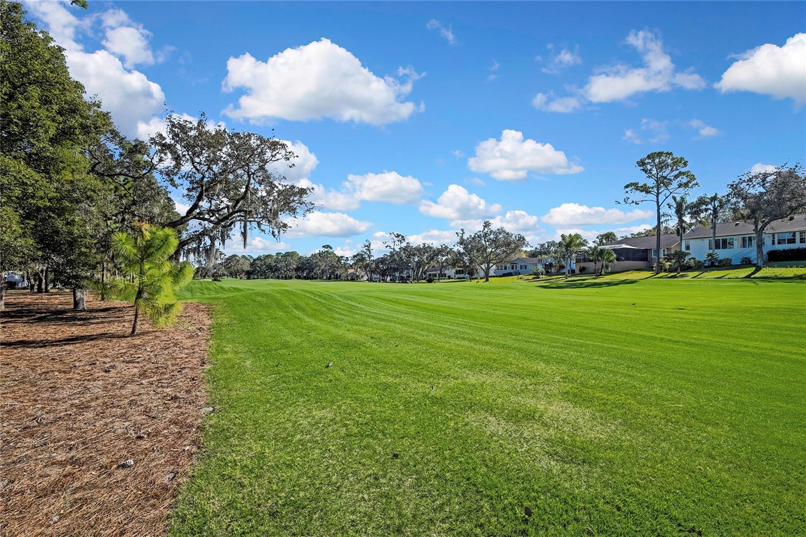 Listing photo id 34 for 7418 Baywood Forest Circle