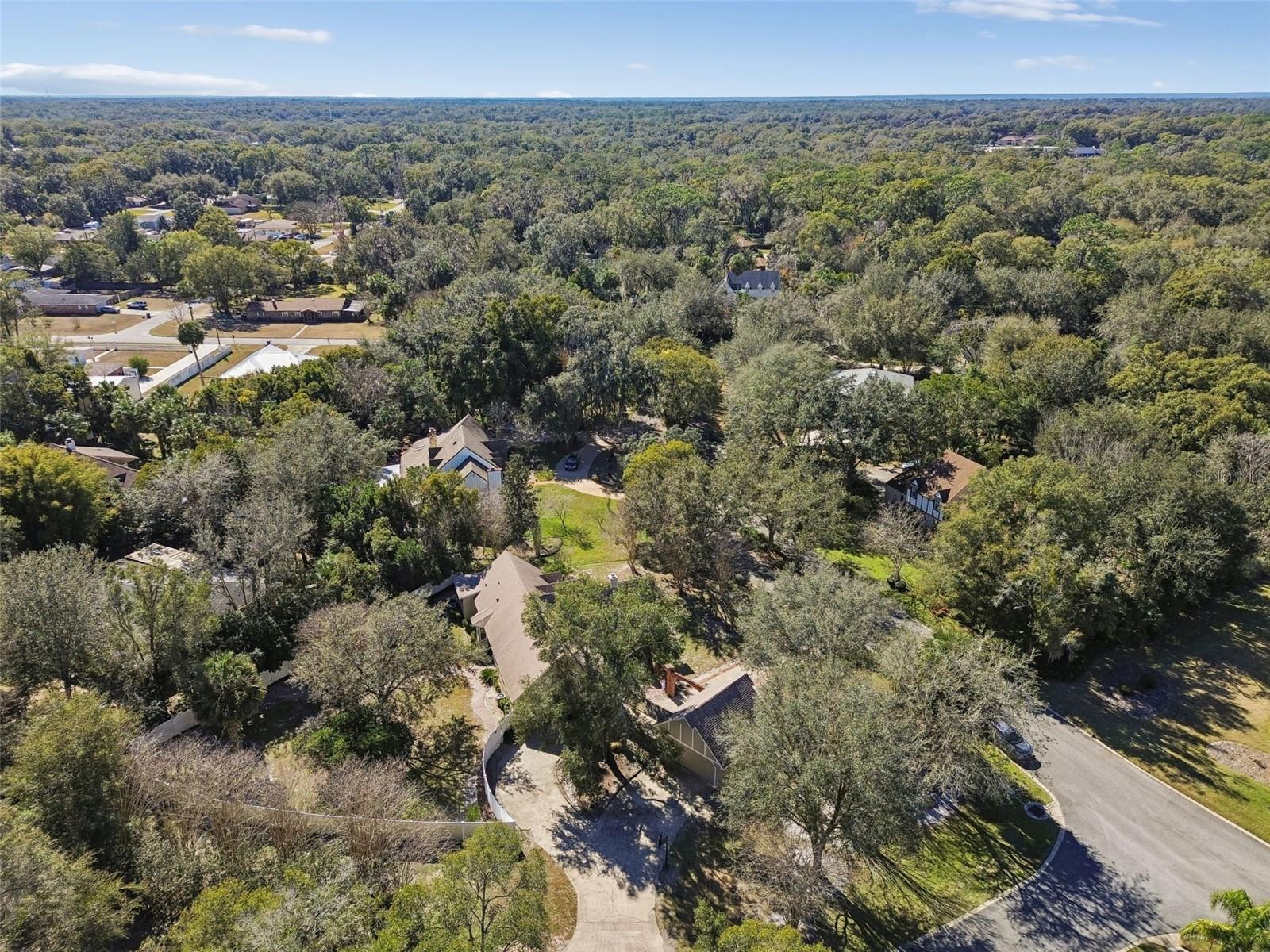 Image 95 of 98 For 238 Crooked Tree Trail