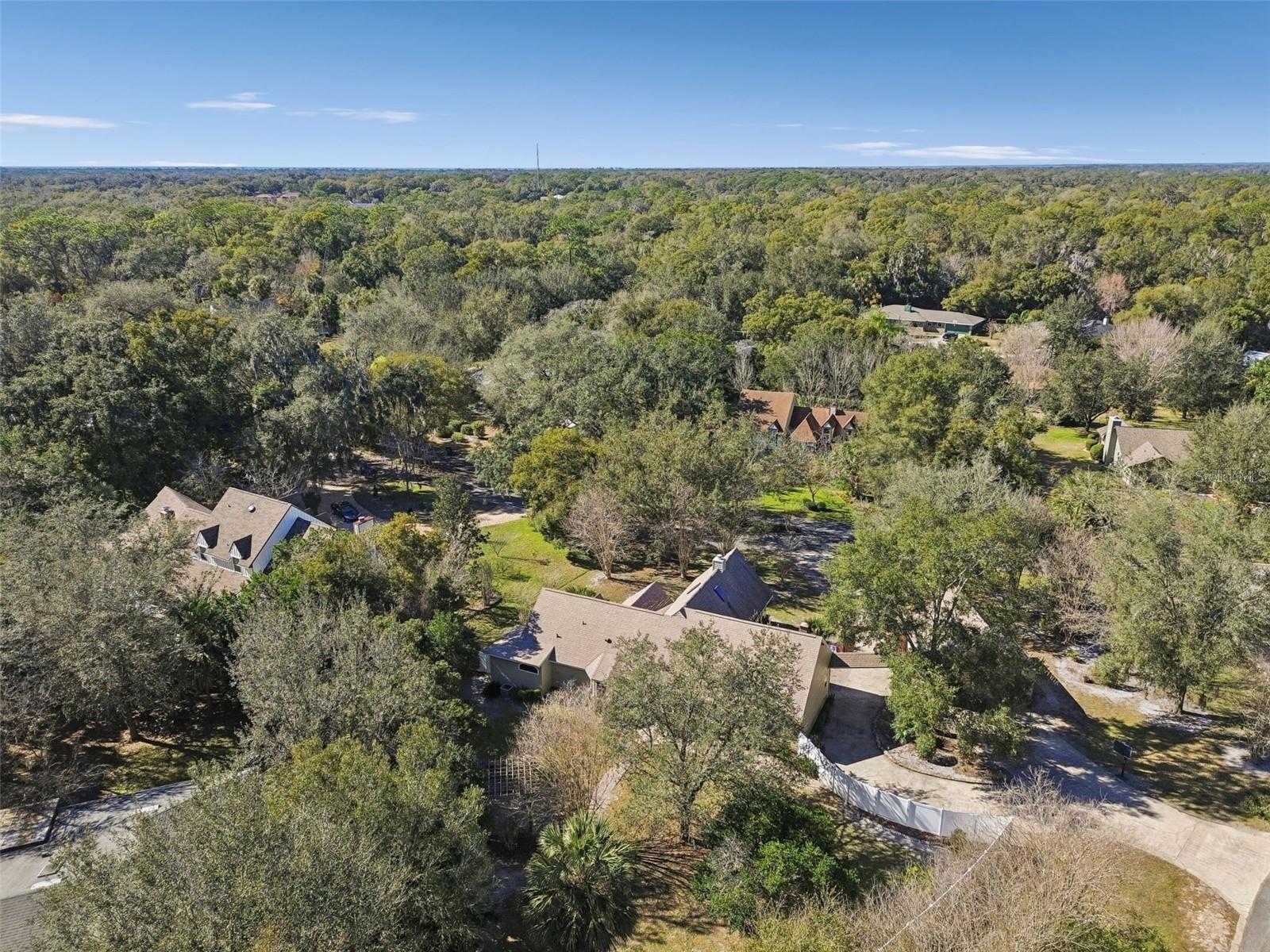 Image 98 of 98 For 238 Crooked Tree Trail