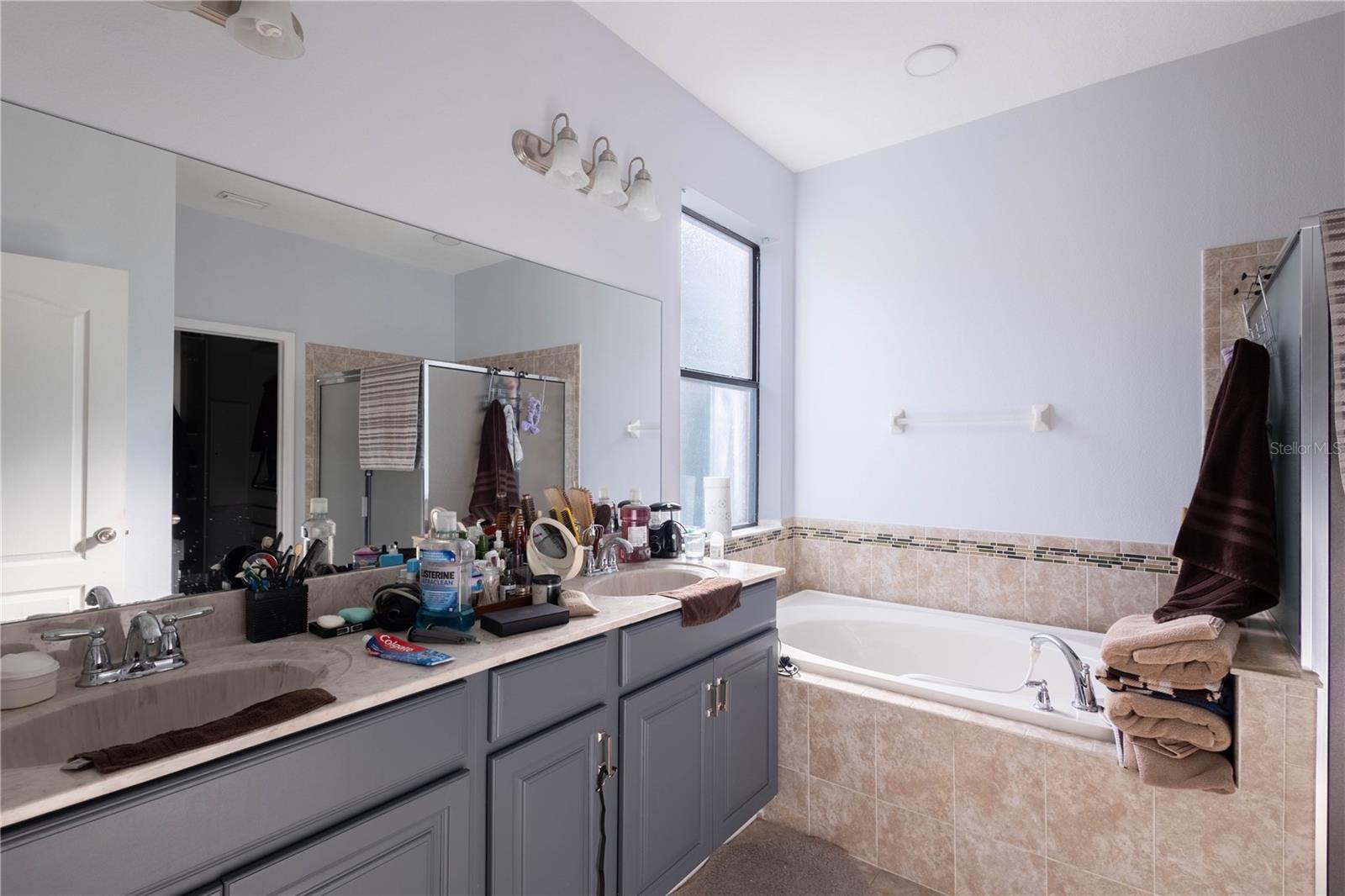 Image 7 of 35 For 11415 Blue Crane Street