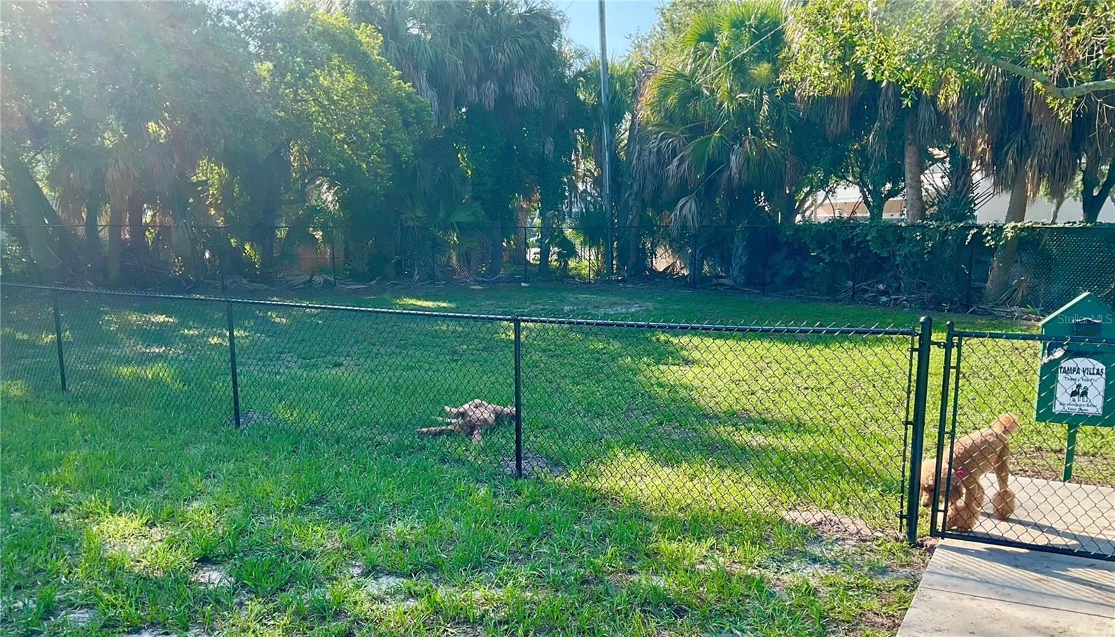 Image 34 of 49 For 4311 La Vera Court