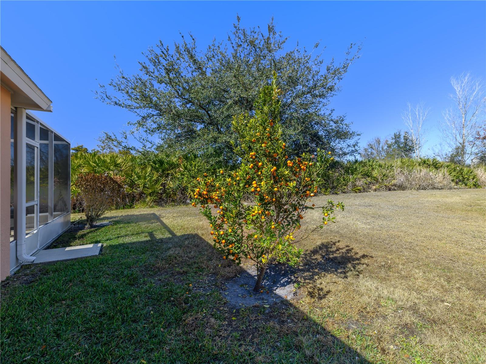 Image 45 of 68 For 18050 Arbor Crest Drive