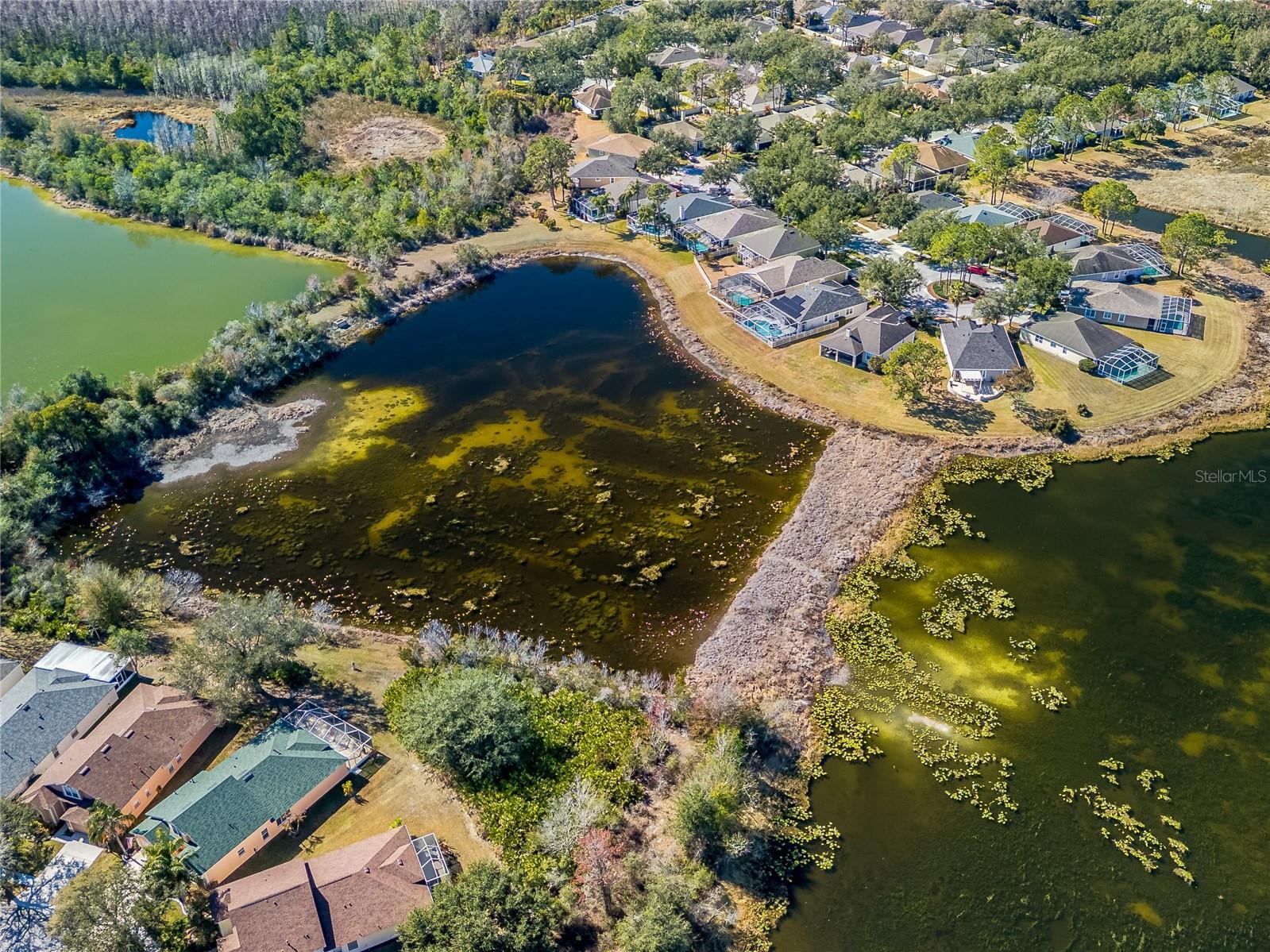 Image 62 of 68 For 18050 Arbor Crest Drive