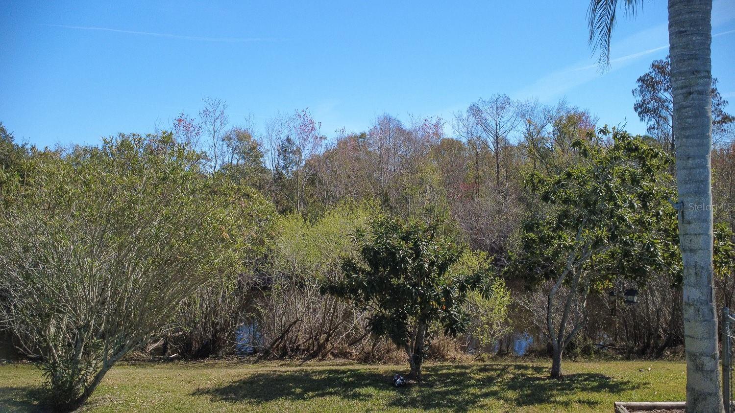 Image 62 of 72 For 12200 Silk Oak Lane