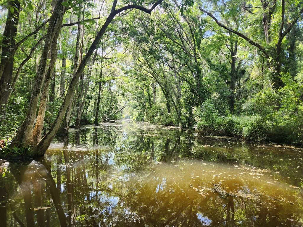 Image 2 of 7 For Pine Ridge Road 5