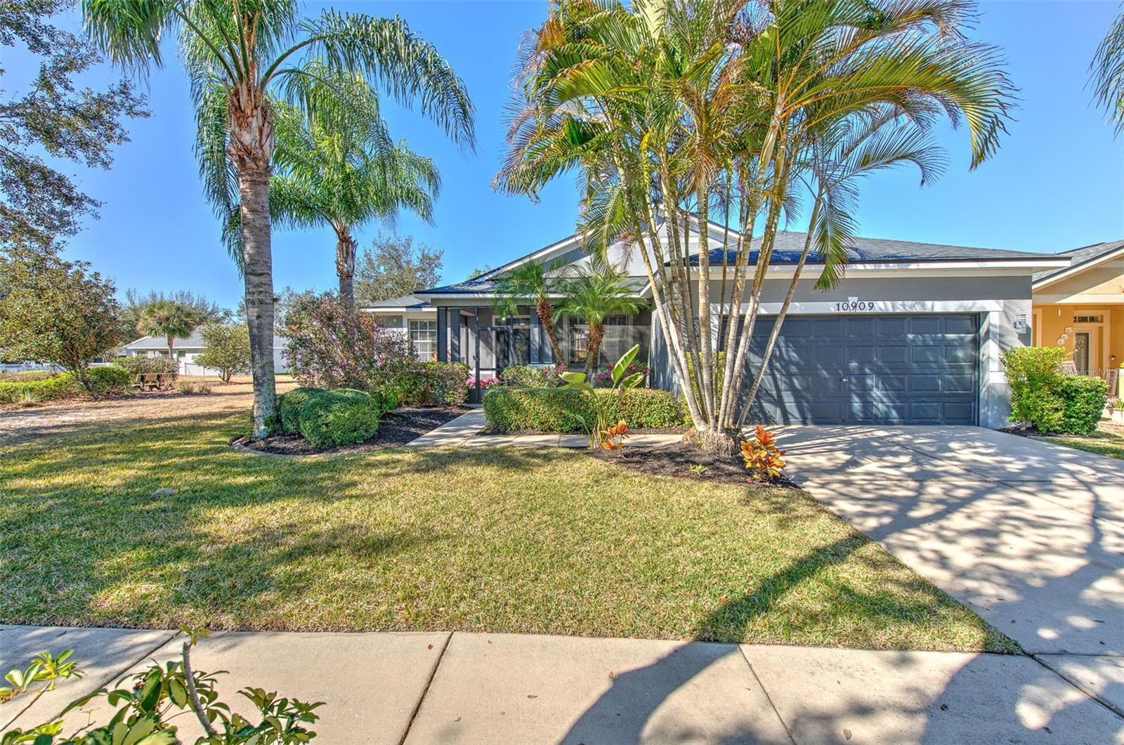 Details for 10909 Holly Cone Drive, RIVERVIEW, FL 33569