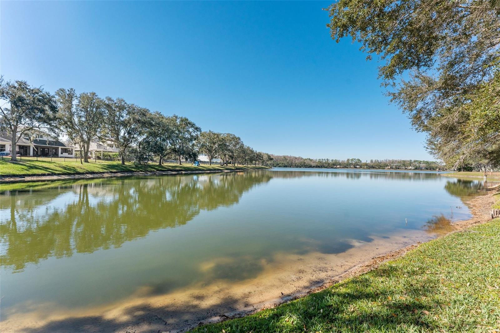 Image 51 of 72 For 11604 Splendid Lane