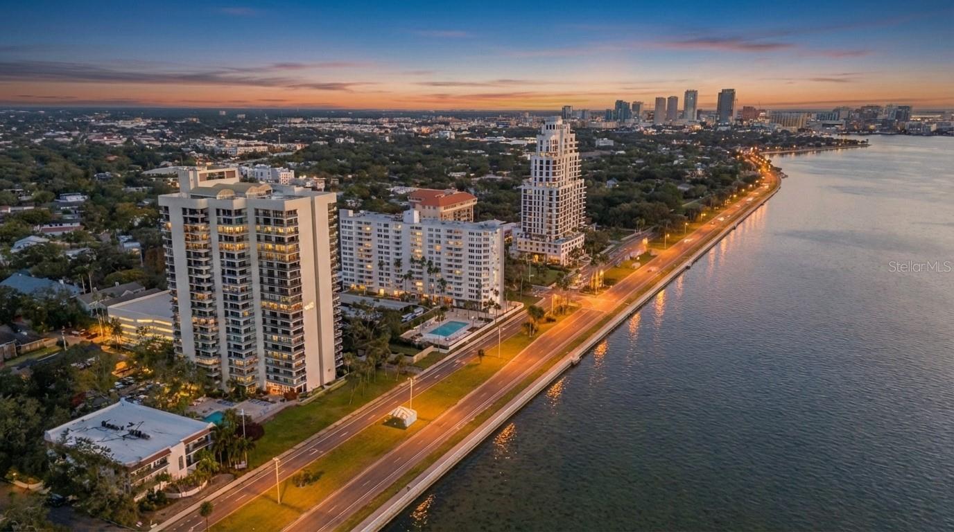 Image 36 of 36 For 2413 Bayshore Boulevard 1004