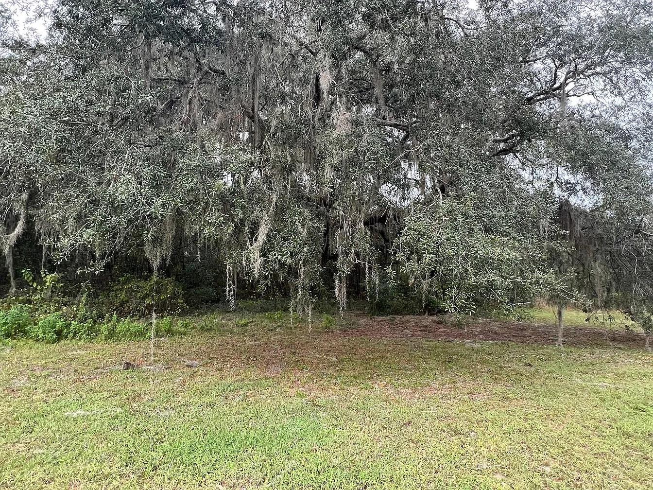 Image 4 of 12 For 27751 Virgil Hawkins Circle