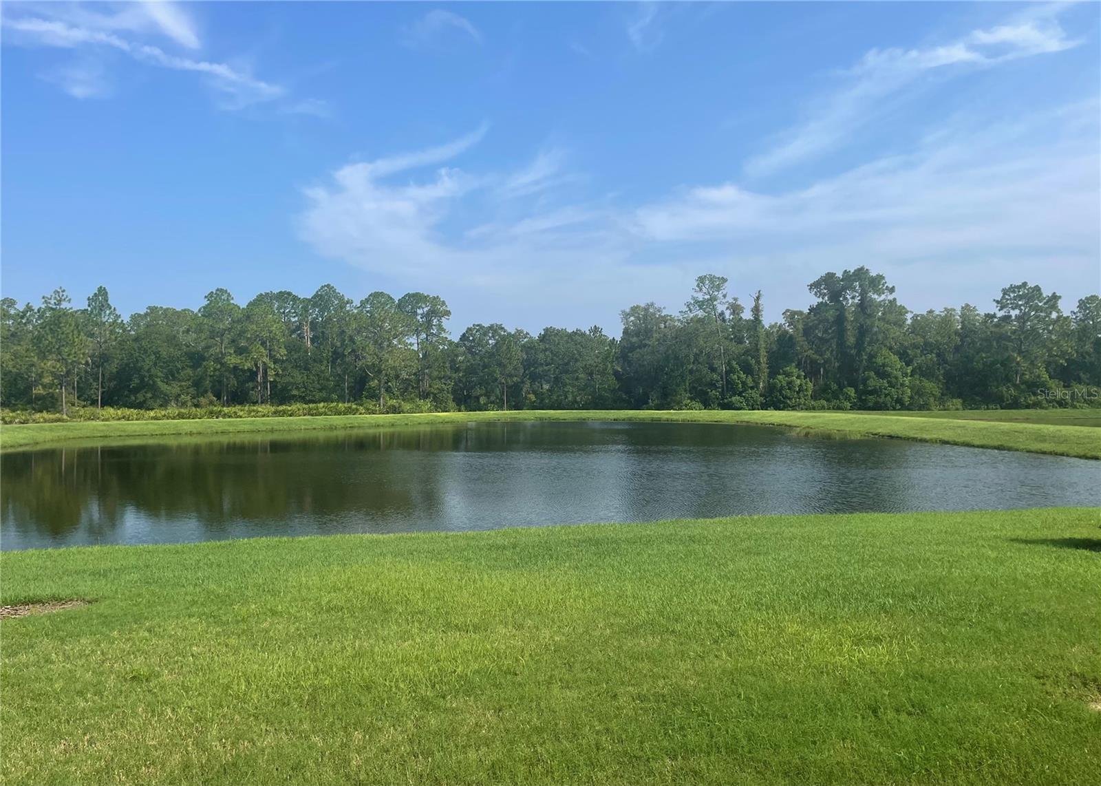 Image 19 of 57 For 4239 Woodland Retreat Boulevard