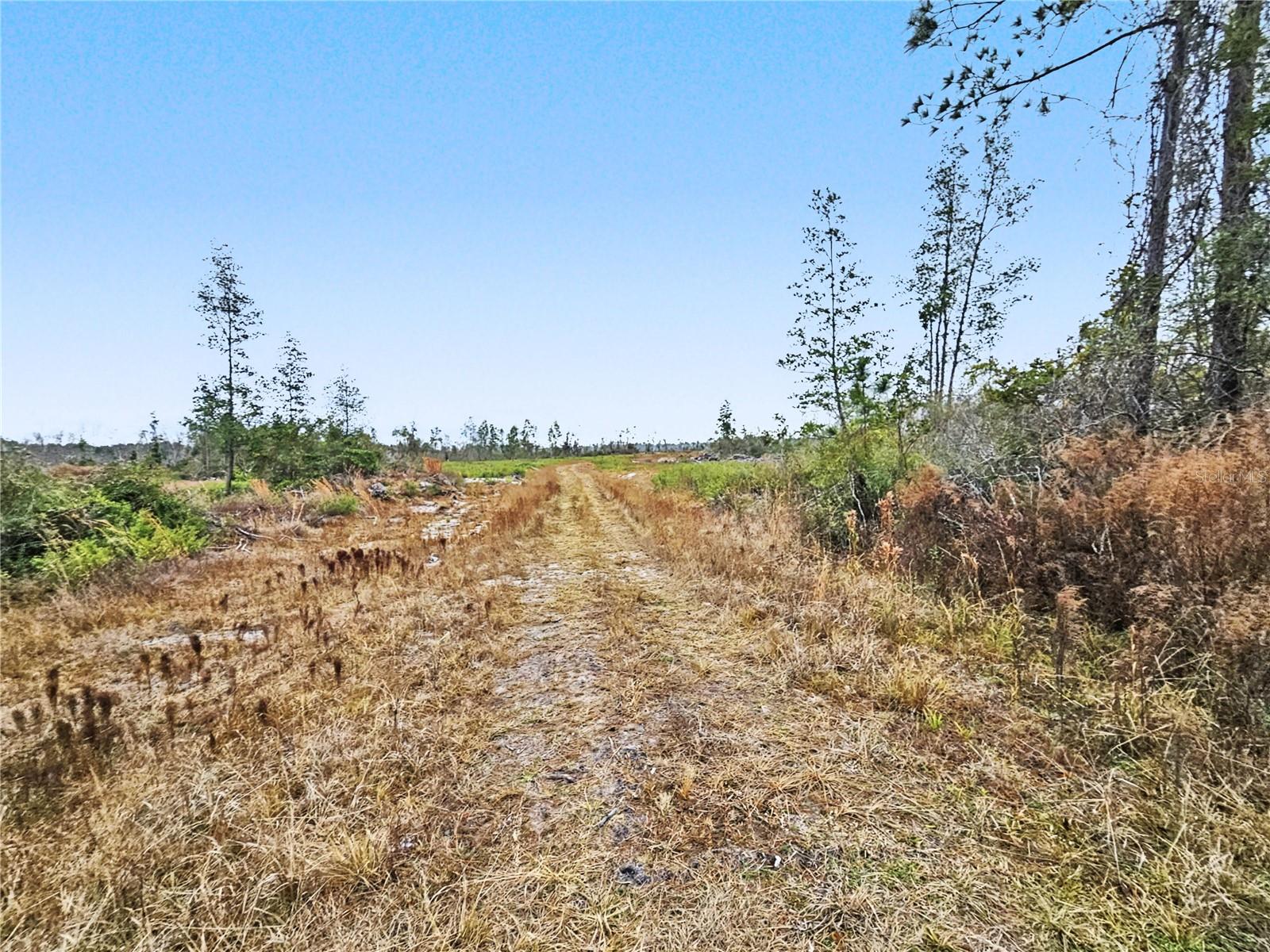 Image 4 of 4 For County Rd 143