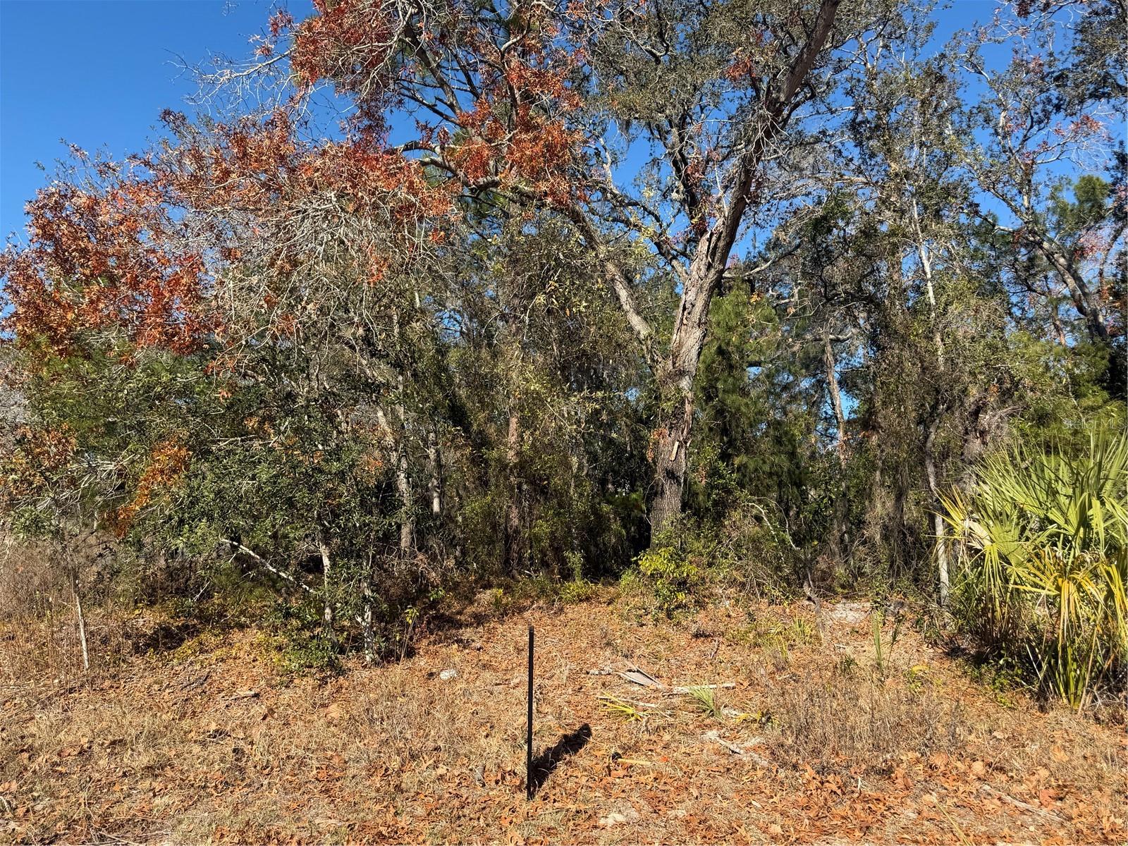 Image 2 of 3 For 4307 Castle Avenue